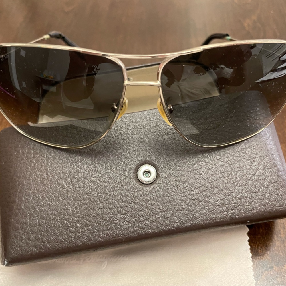 Salvatore Ferragamo SF108SL Sunglasses